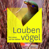 Ein Leben auf der Bühne